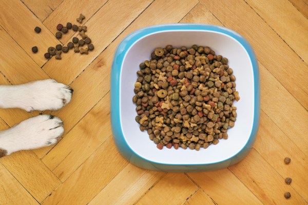 Alimentacao pet